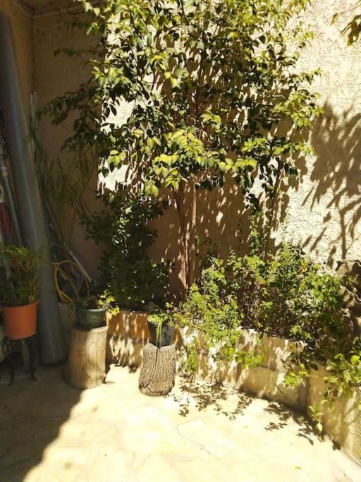 Studio Ideal Pour Deux Voyageurs Sur Marsilya Dış mekan fotoğraf