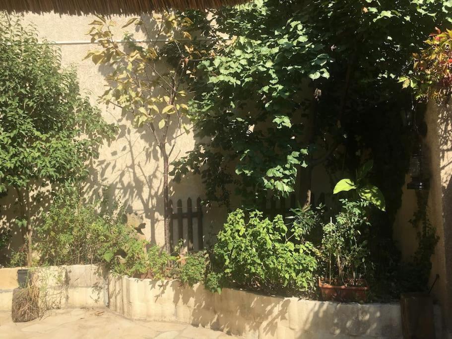 Studio Ideal Pour Deux Voyageurs Sur Marsilya Dış mekan fotoğraf